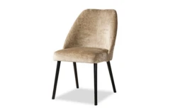 Esszimmerstuhl Acacia