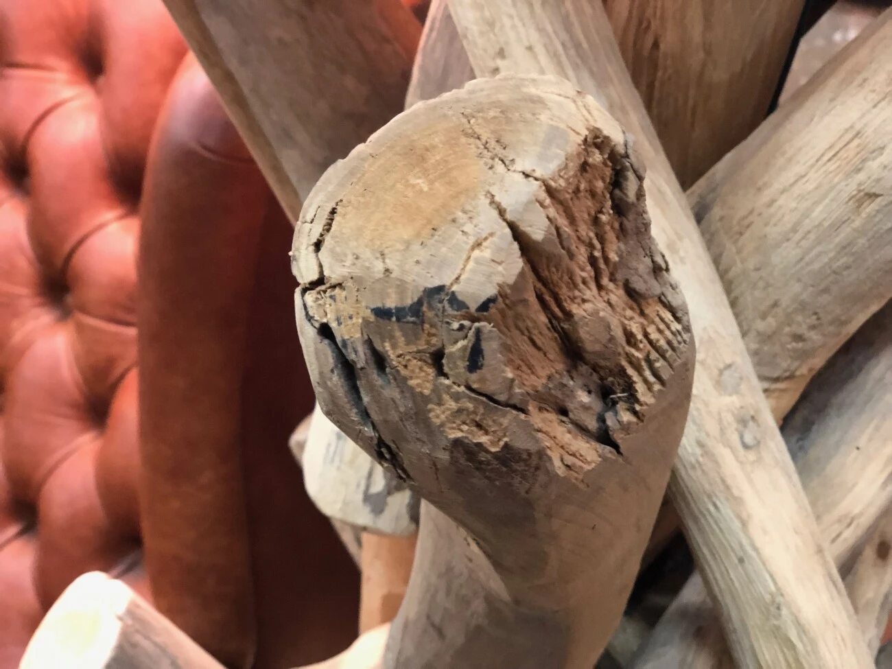 Baumstammleuchte Mit Kroko-Lampenschirm 3 Baumstammleuchte Mit Kroko-Lampenschirm – Bild 3