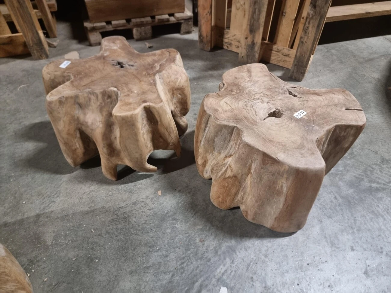 Root Massief Teak 1 Root Massief Teak